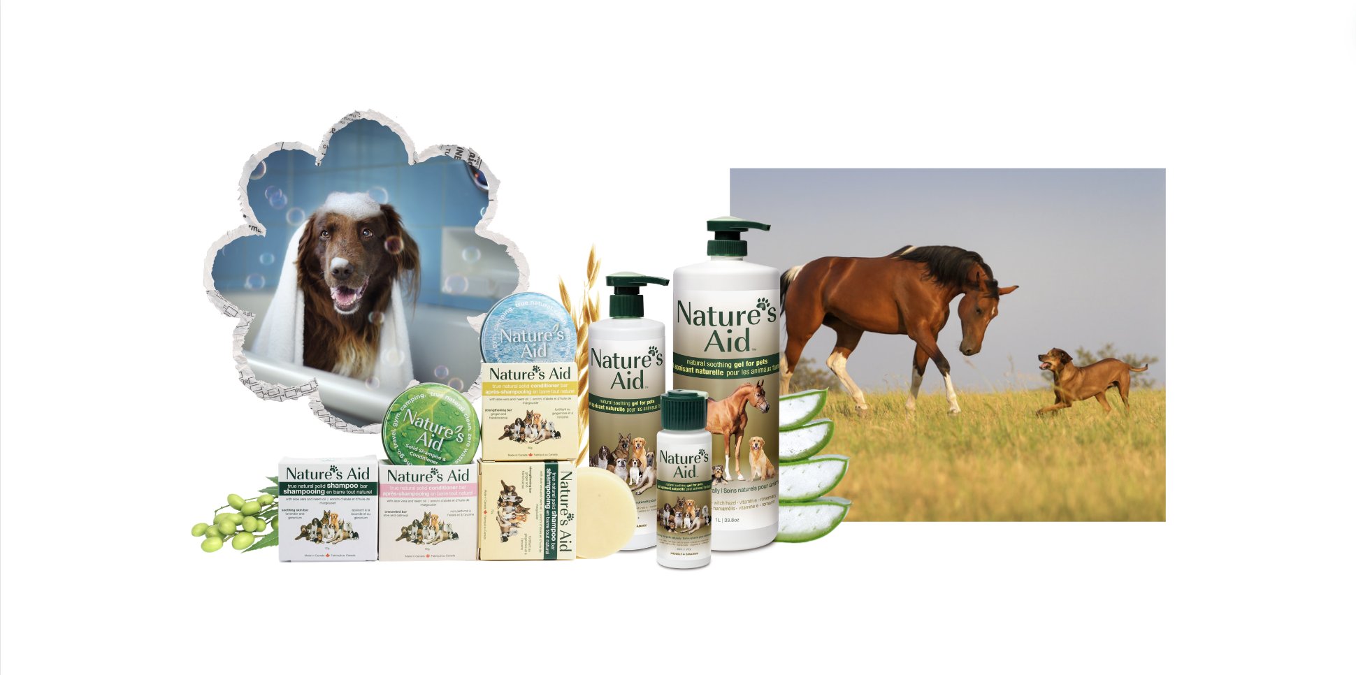 Pets Care | All