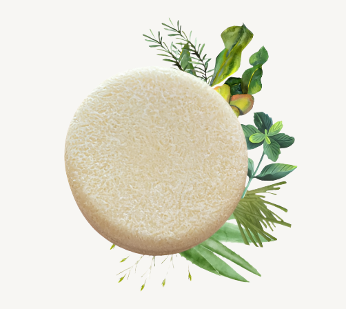 Solid hair bar with ingredients behind it