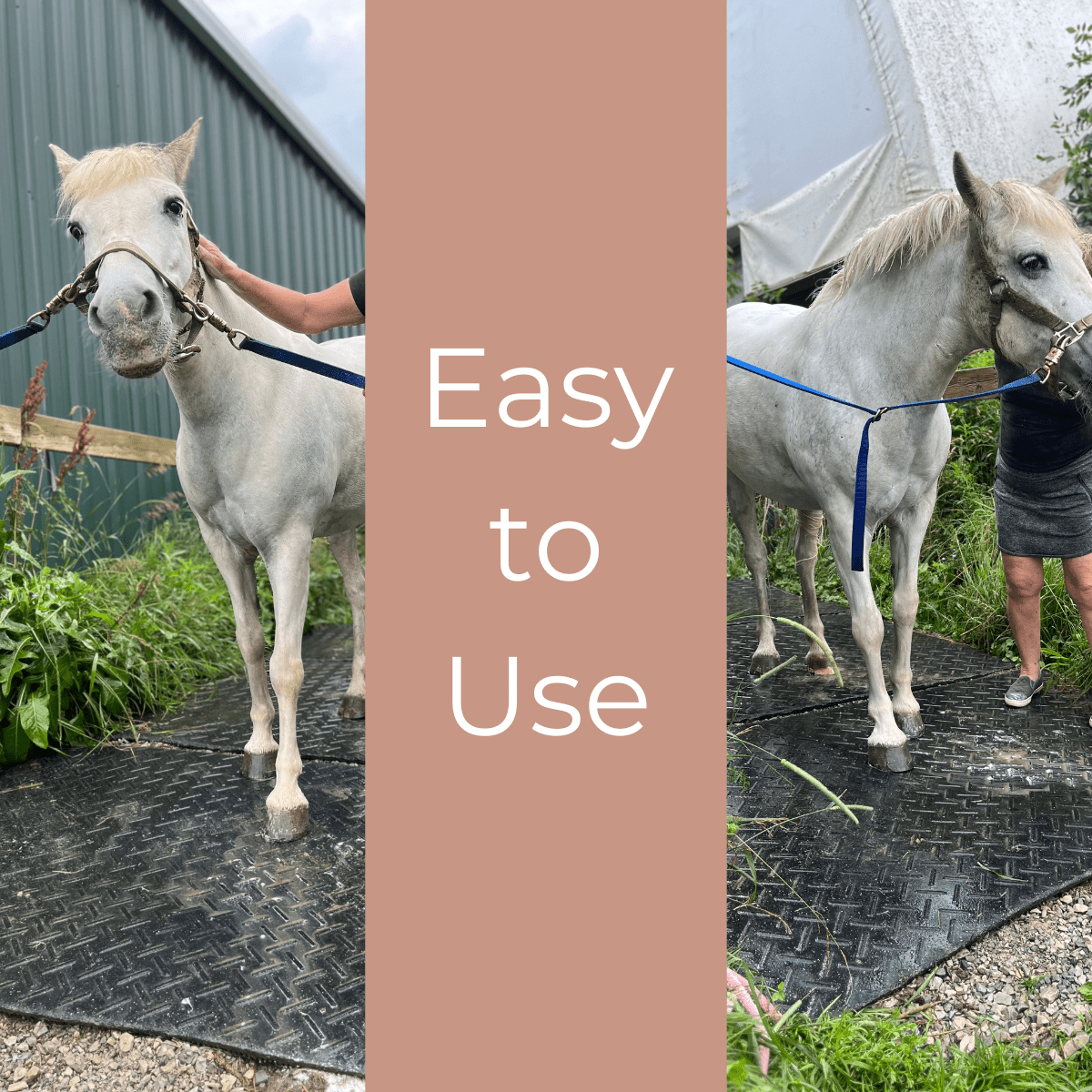 Equine Shampoo Bars - Nature's Aid, Orderform, pet care