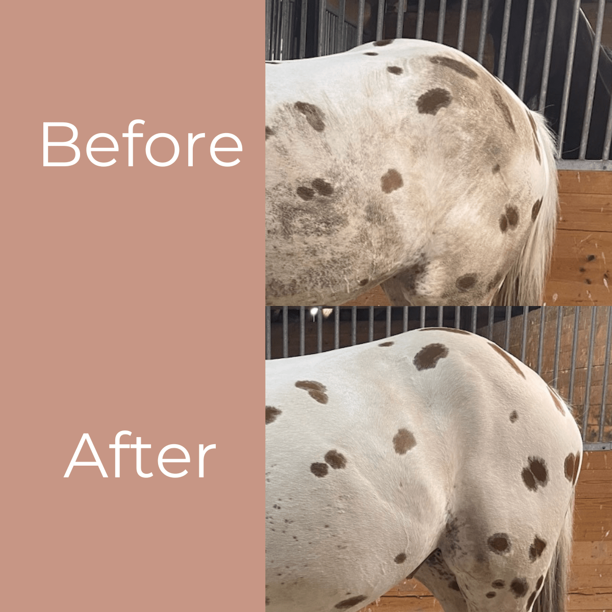 Equine Shampoo Bars - Nature's Aid, Orderform, pet care