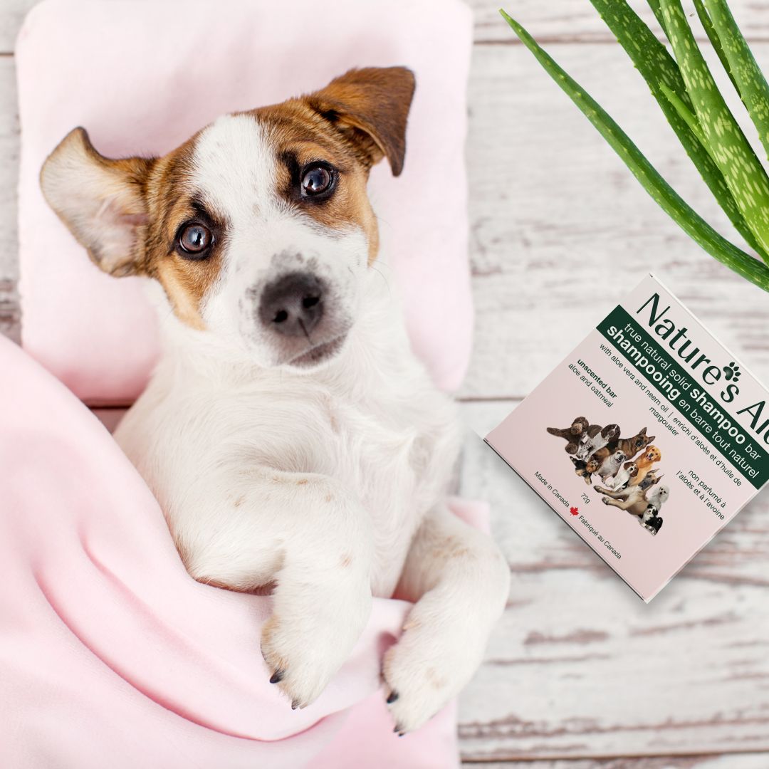 Pet Shampoo Bars - Nature's Aid, dogs, Eco - friendly