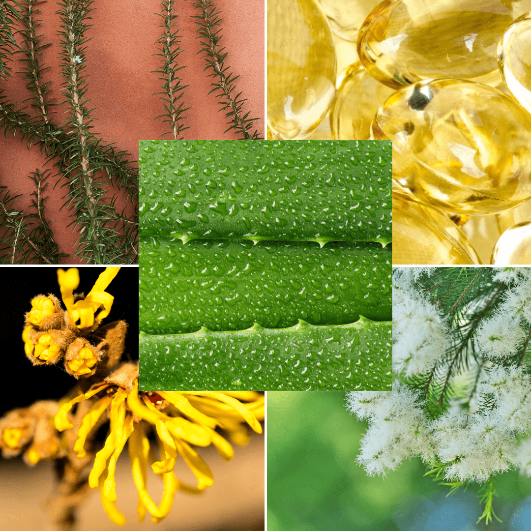 Nature’s Best Ingredients for Healthy, Glowing Skin - Nature's Aid