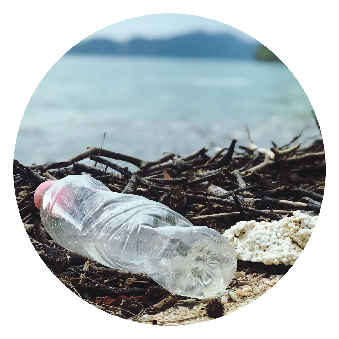 Empty plastic bottle on a beach