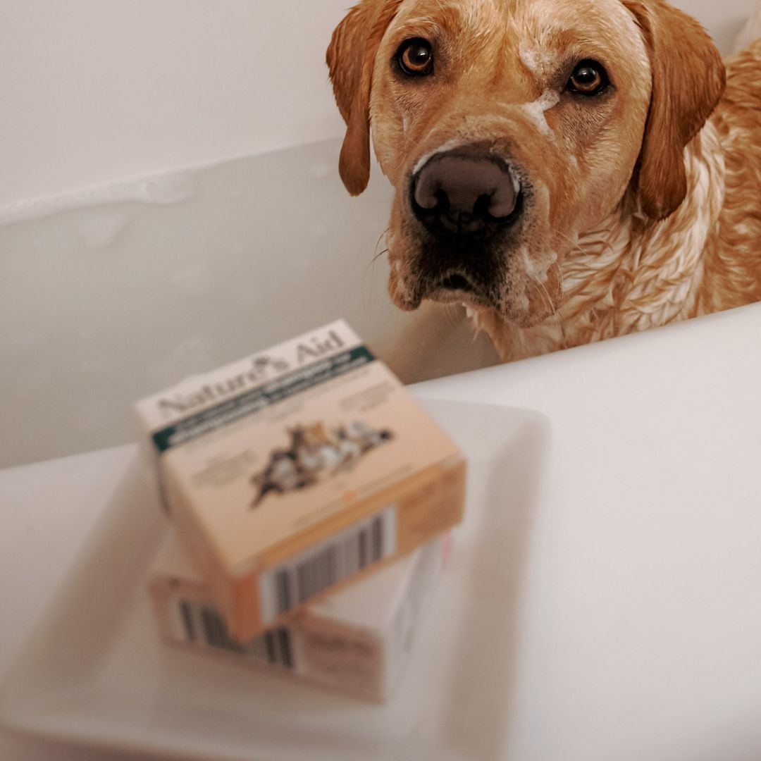 Pet Shampoo Bars - Nature's Aid, dogs, Eco-friendly