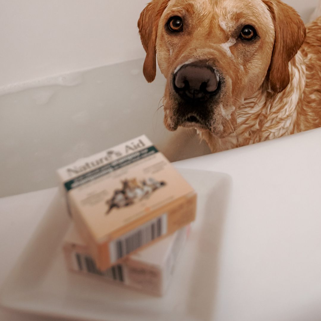 Pet Shampoo Bars - Nature's Aid, dogs, Eco - friendly